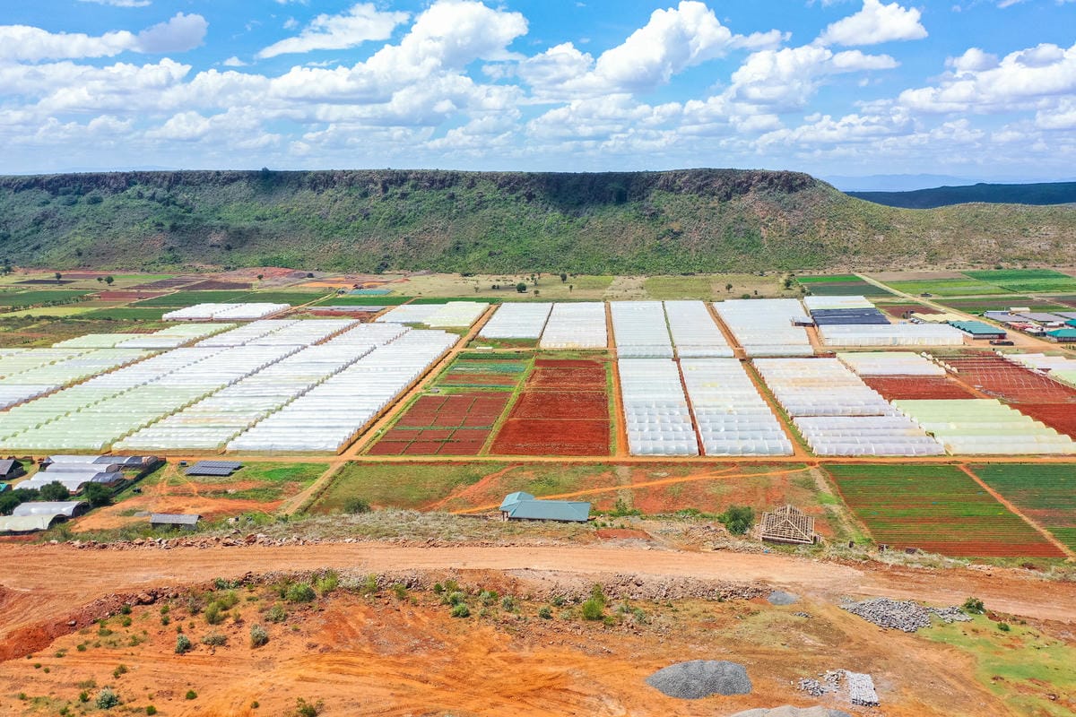 Investment opportunities at Great Rift Valley Retreat